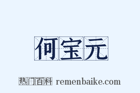 何宝元是什么意思的图片